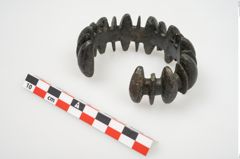 Foto von Bronzebuckelarmreif (NHMW-PRAE-025619)